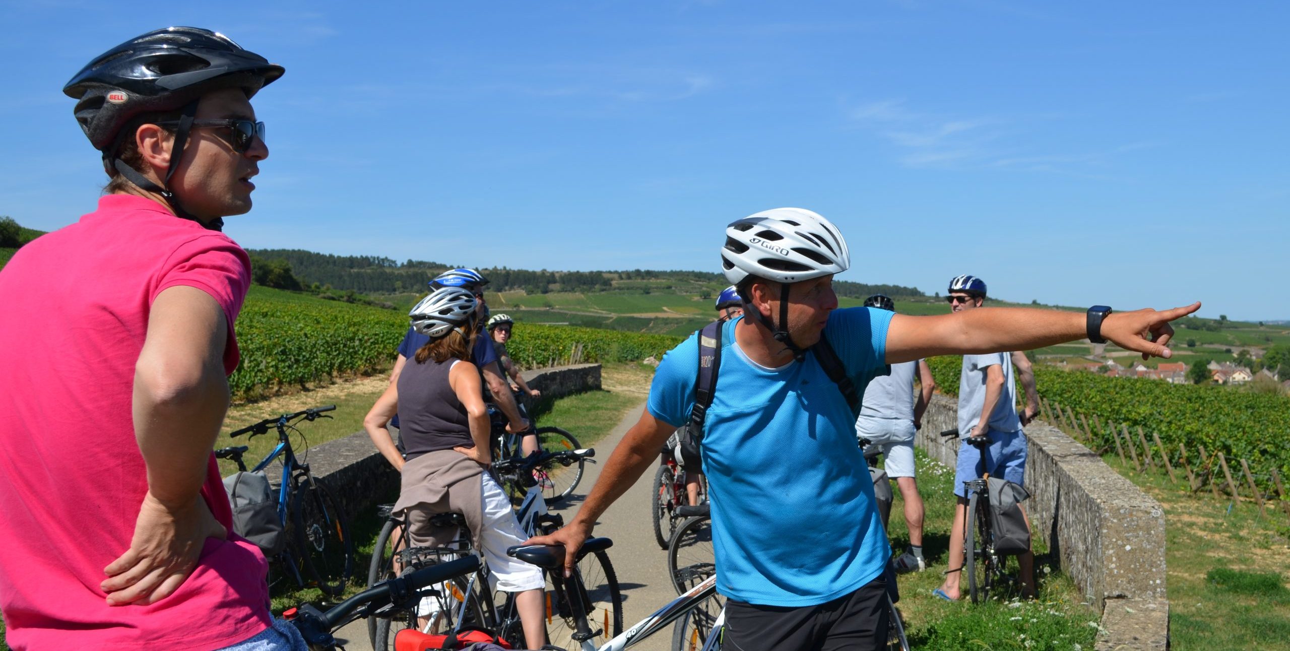 Explication sur les cépages de Bourgogne