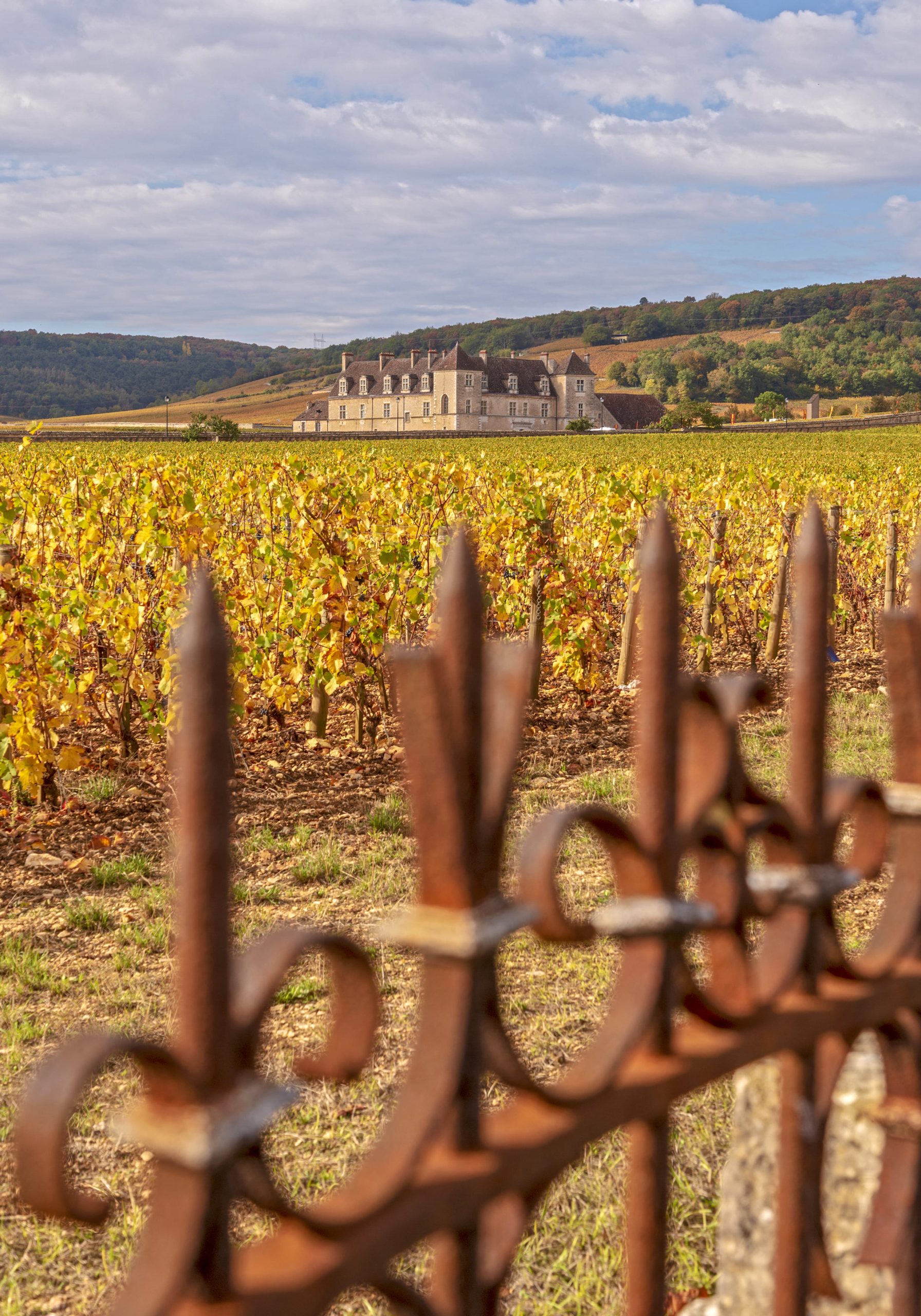 Alain_DOIRE__BFC_Tourisme-BFC_0018781