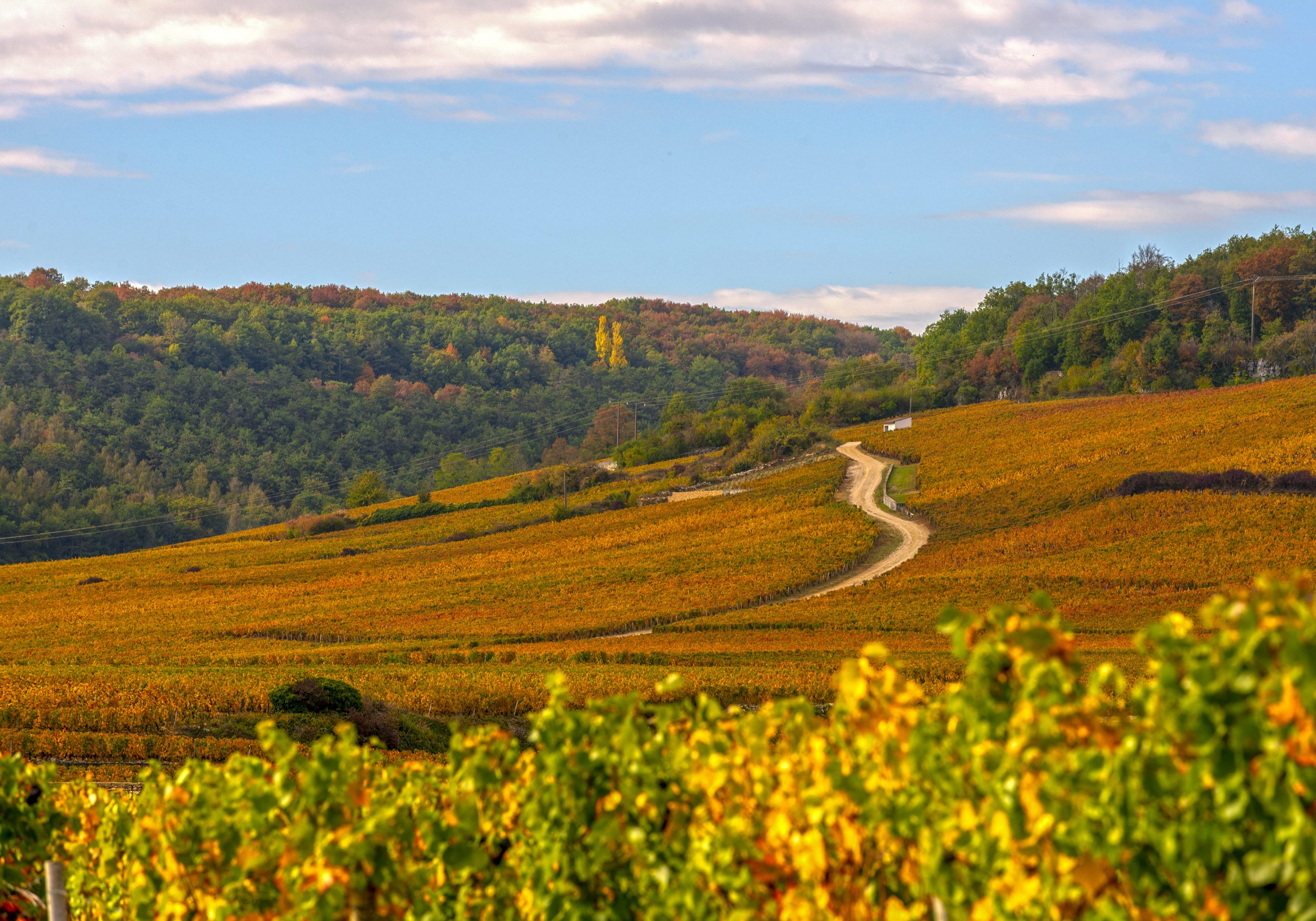 Alain_DOIRE__BFC_Tourisme-BFC_0018787